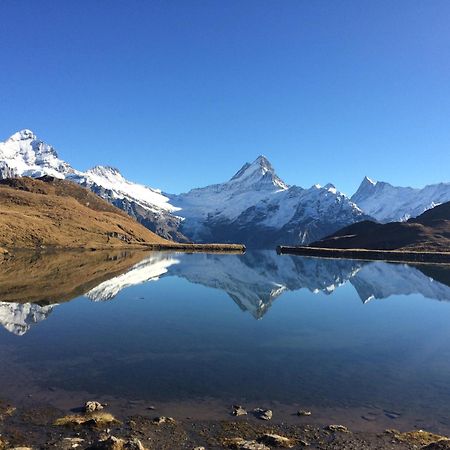 Chalet Verbrunnenhaus Grindelwald Ngoại thất bức ảnh