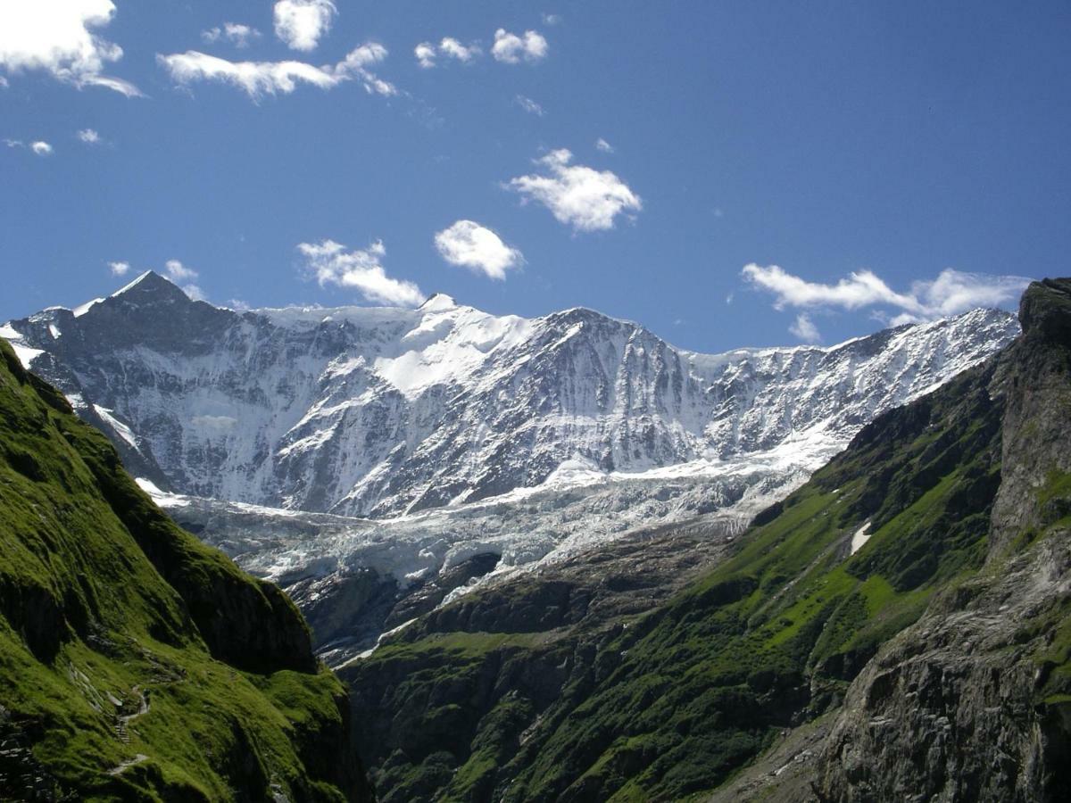 Chalet Verbrunnenhaus Grindelwald Ngoại thất bức ảnh