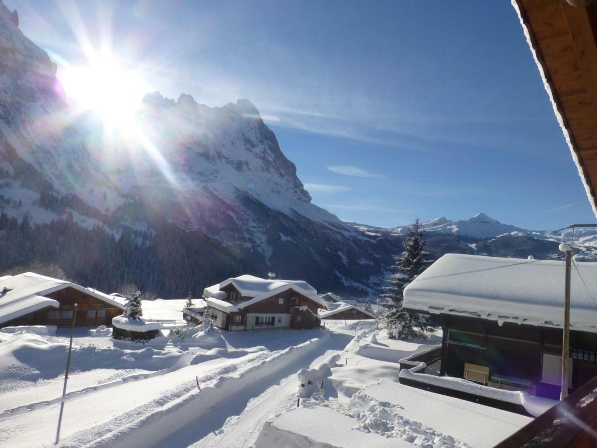 Chalet Verbrunnenhaus Grindelwald Apartment Ngoại thất bức ảnh