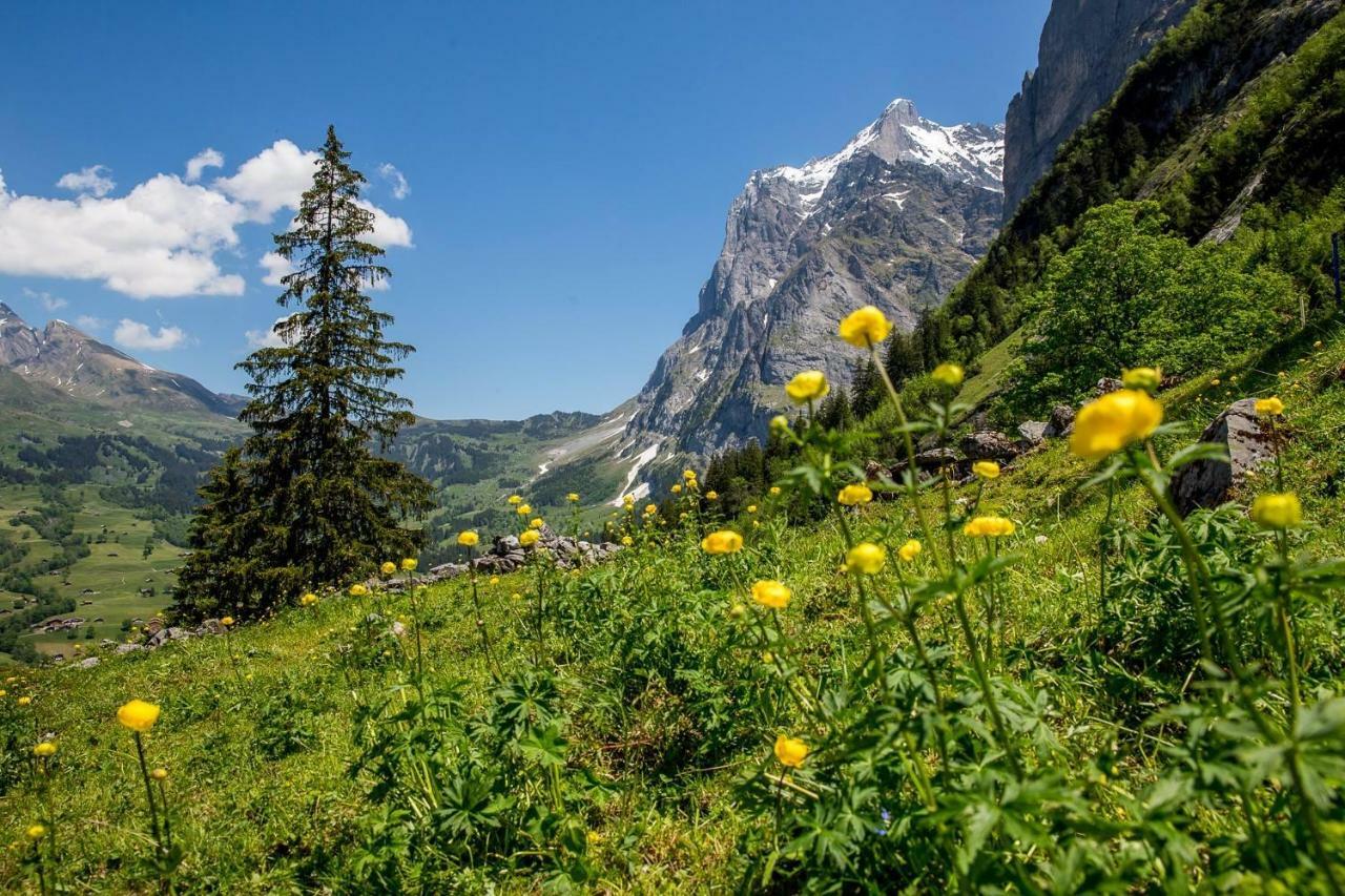 Chalet Verbrunnenhaus Grindelwald Ngoại thất bức ảnh
