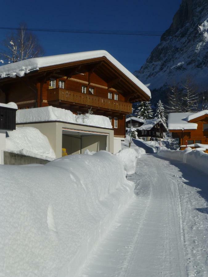 Chalet Verbrunnenhaus Grindelwald Apartment Ngoại thất bức ảnh