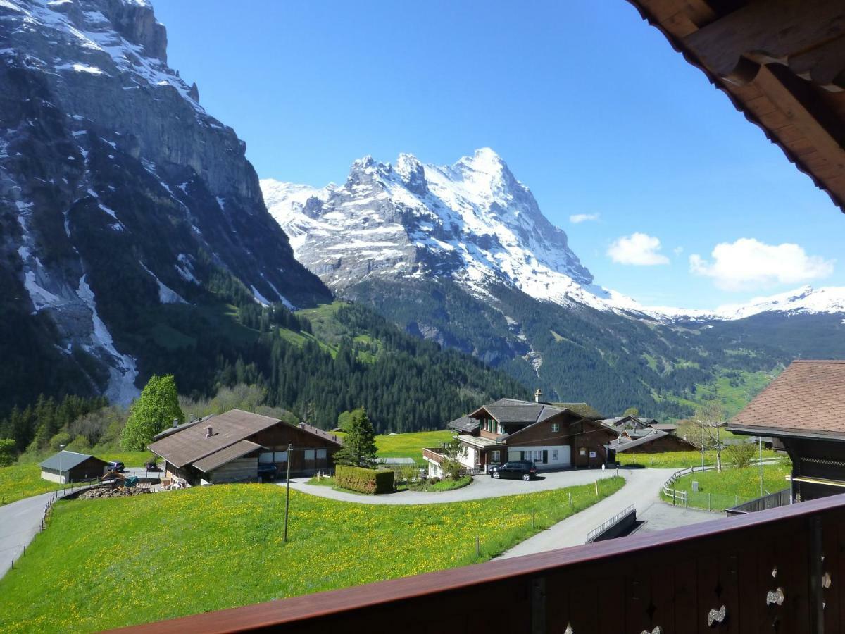 Chalet Verbrunnenhaus Grindelwald Apartment Ngoại thất bức ảnh